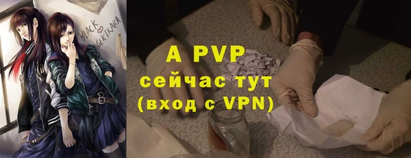 твердый Володарск