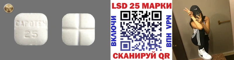 Лсд 25 экстази ecstasy  Каменка 