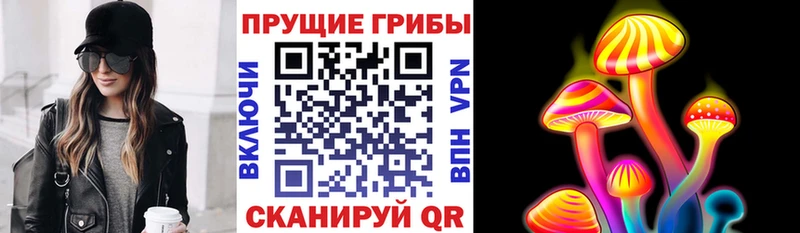 Галлюциногенные грибы Psilocybe  Каменка 